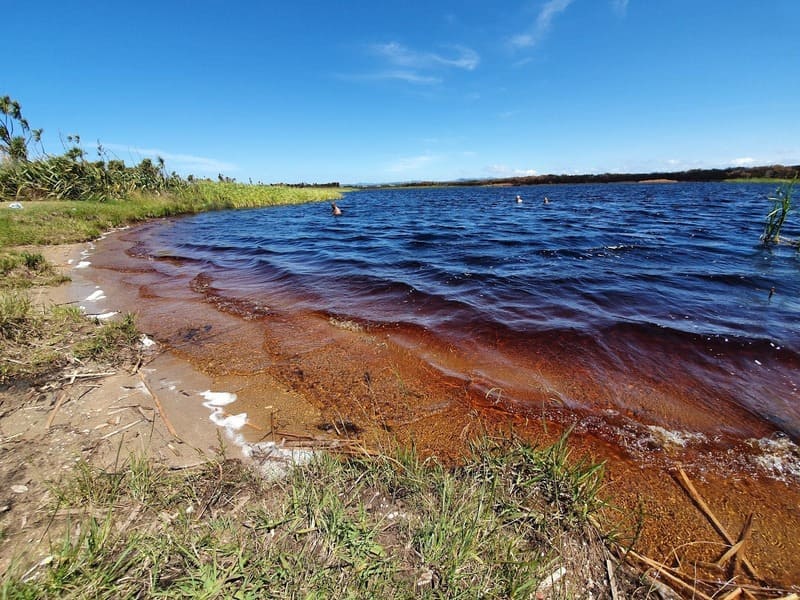 A Lake That Looks Like Coca-Cola — Northland
