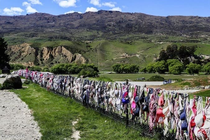 A Fence Covered in Thousands of Bras — The Cardrona Valley