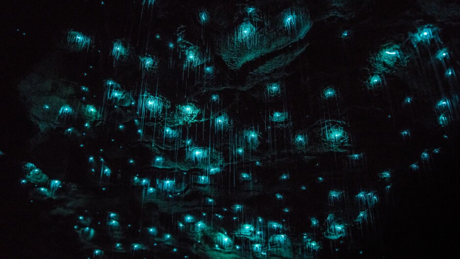 A Ceiling of Living Stars Underground — Waitomo Glowworm Caves